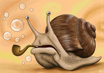 Merry-snail's Photo