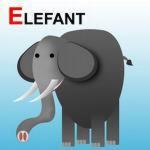 Elefant's Photo