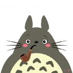 Totoro's Photo
